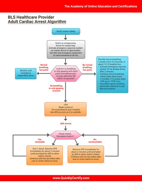 Bls For Healthcare Providers-1