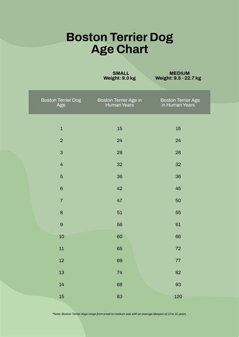 Boston Terrier Age Chart