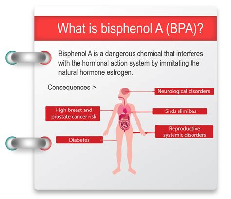 Bpa Health Risk