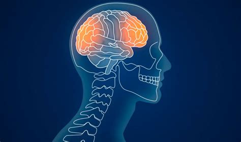 Brain Health Hawaii Concussion