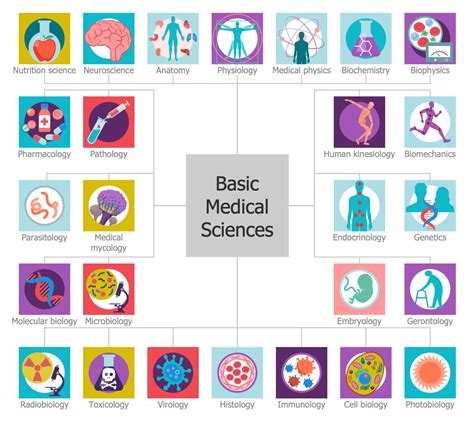 Branches Of Health Science