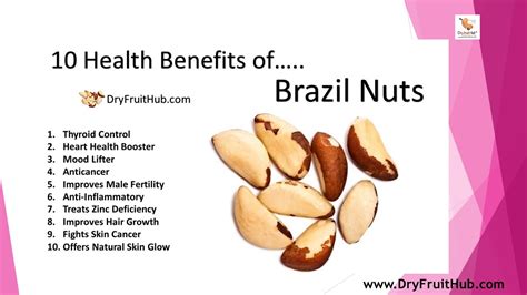 7 Brazil Nut Benefits