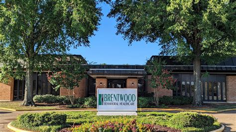 5 Ways Brentwood Behavioral Health Helps