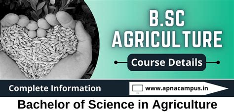 Bsc Agriculture Career And Salary Bsc Agriculture Course Details