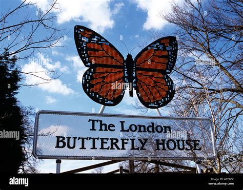 Butterfly Houses To Visit Uk