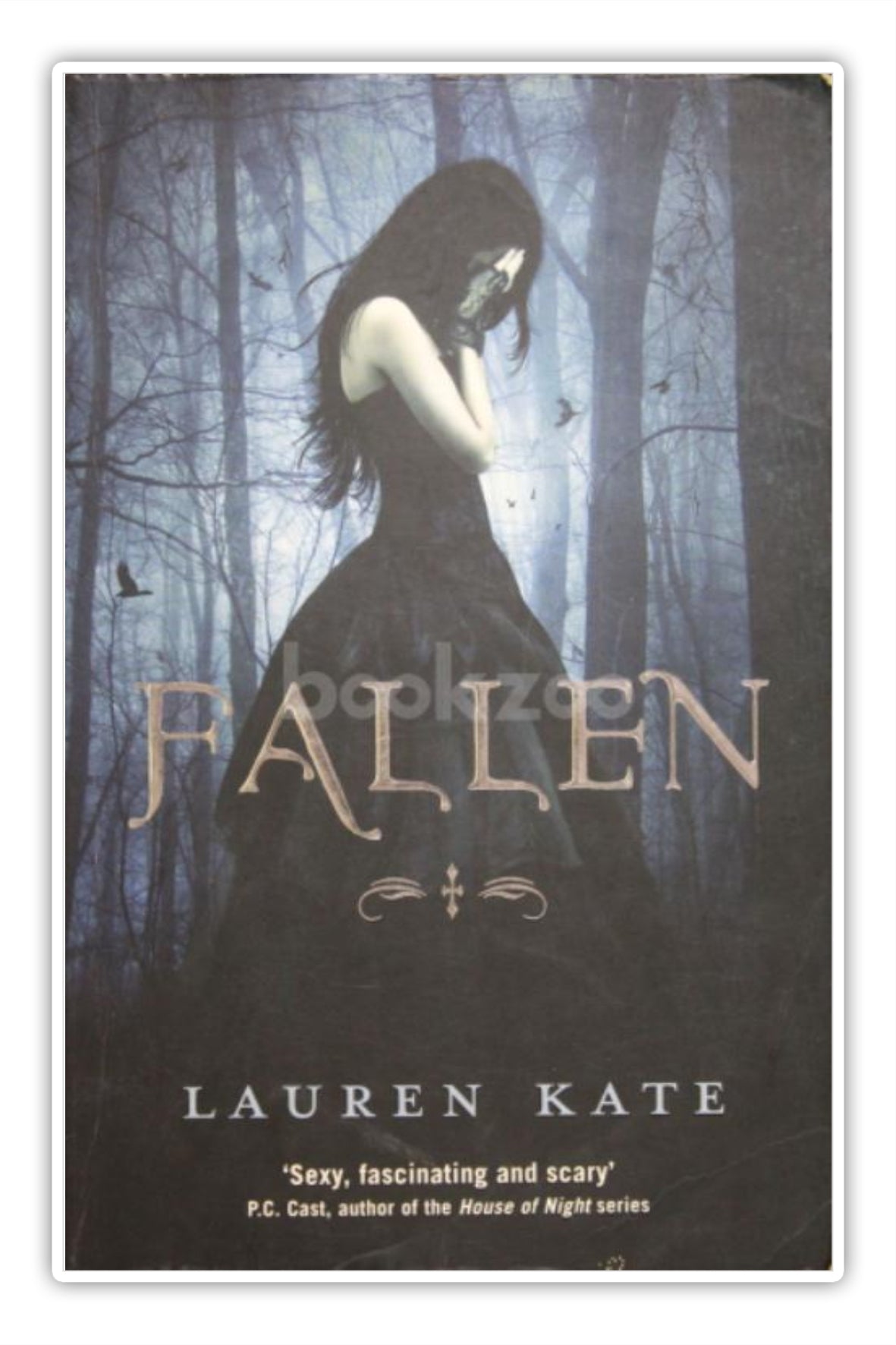 Buy The Fallen At Online Bookstore Bookzoo In Bookzoo In