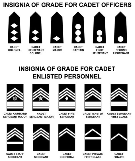 Cadet Lieutenant Colonel Rank