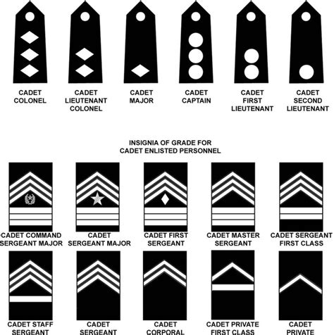 Cadet Ranks Army