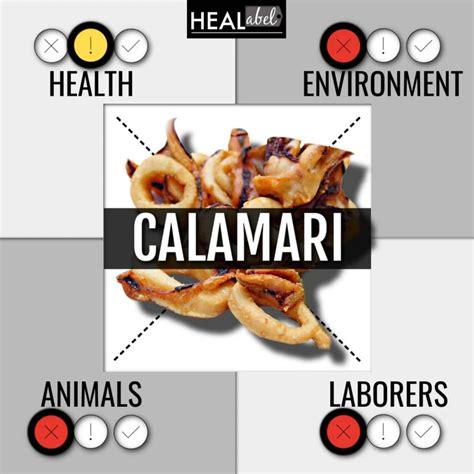 Calamari Benefits And Side Effects