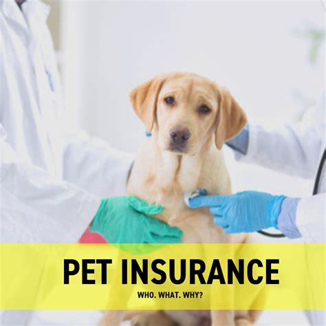 5 Ways Cancel Pet Health Ins