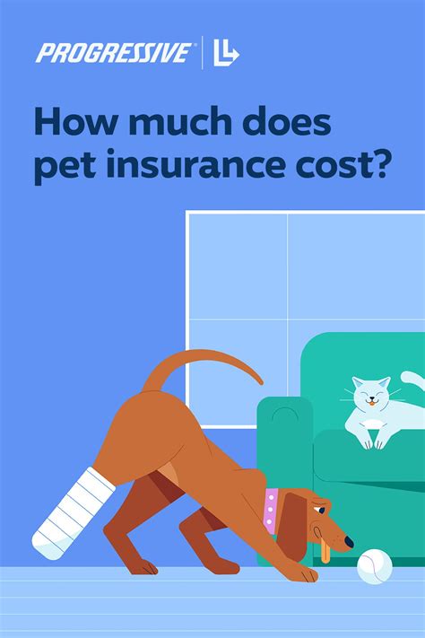 Cancel Pet Insurance After Death