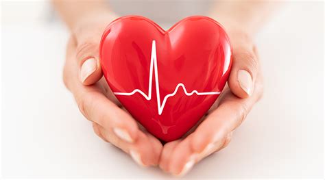 Cardiovascular Health 5 Tips For A Strong Heart Better Life