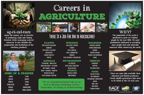 Career Opportunities For Agriculture Graduates