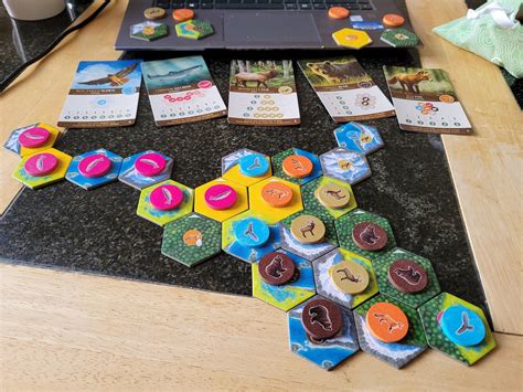 Cascadia Board Game