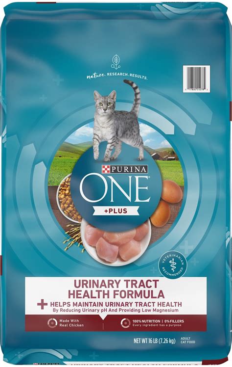 Urinary Health Cat Food Options