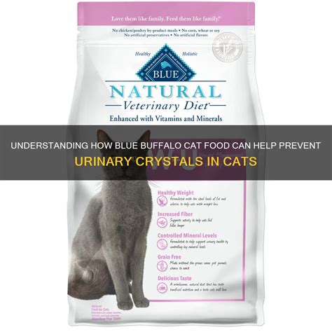 Cat Food That Prevents Crystals