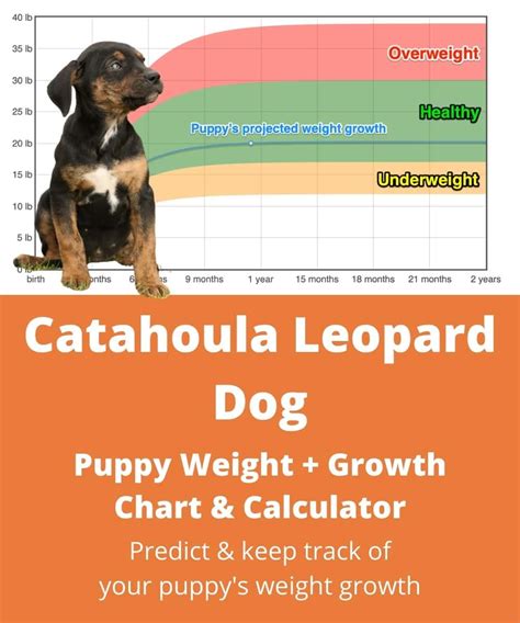 Catahoula Leopard Dog Weight