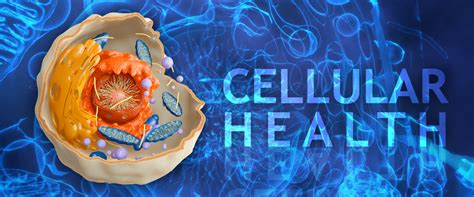 Cellular Health Analysis