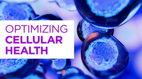 Boosting Cellular Health Naturally