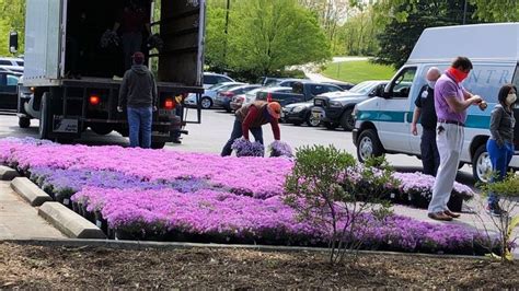 Centra Health Gets Donation Of 1 500 Phlox Plants For Healthcare Workers