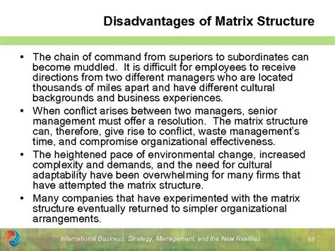 Chain Of Command Disadvantages