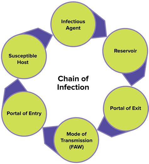 Chain Of Infection