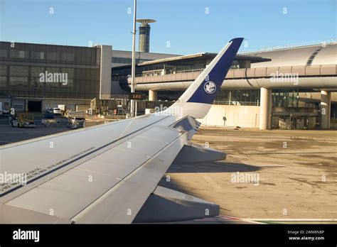 Charles De Gaulle Wing Size