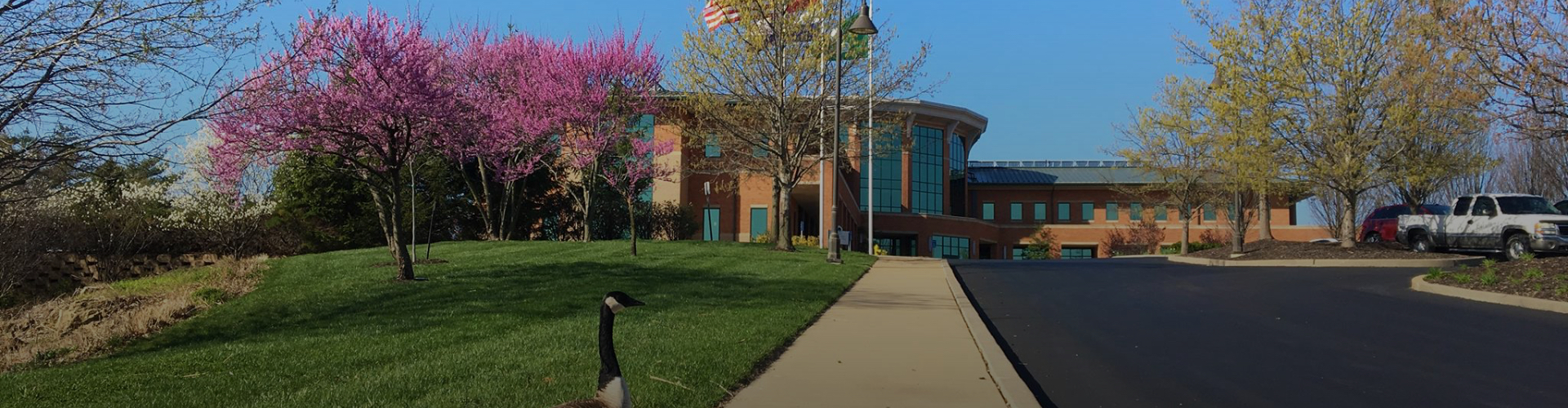 Chesterfield Mo Health Department