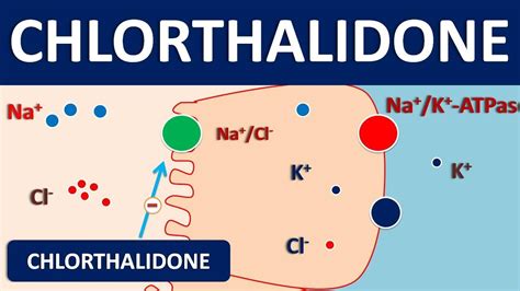 Chlorthalidone Moa