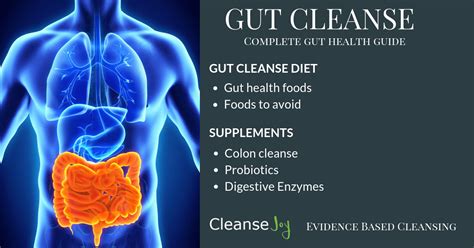 Clean Gut