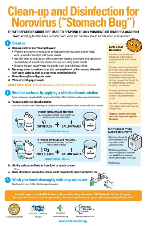 Clean Up And Disinfection For Norovirus Stomach Bug American Family Medical