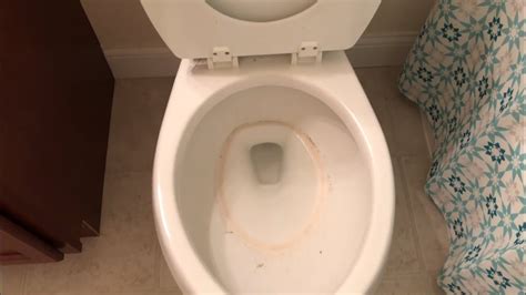 Cleaning Toilet After Vomiting