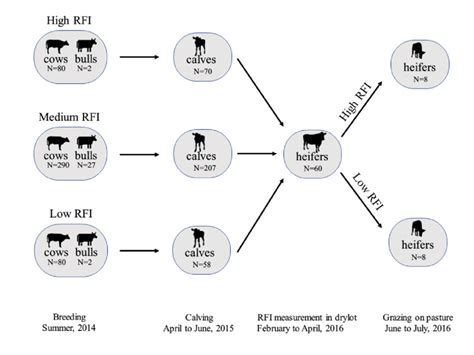 Animal Health Clinical Trials