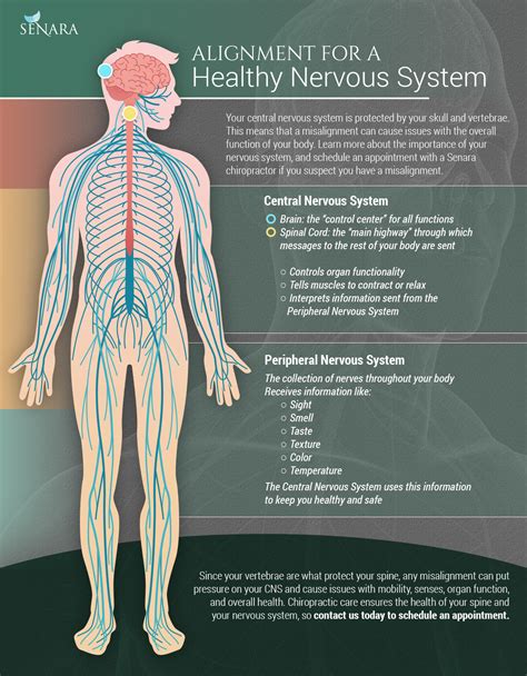 Cns Health Care Meaning