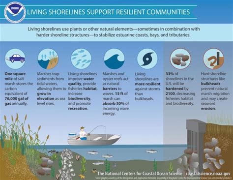 Coastal Erosion U S Climate Resilience Toolkit