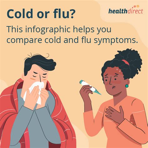 Cold Or Flu Infographic Healthdirect