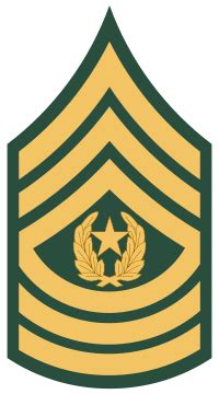 Command Sergeant Major Army Pay