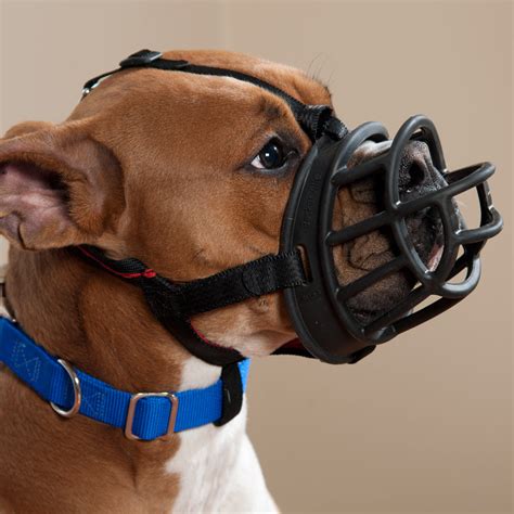 Company Of Animals Baskerville Ultra Basket Adjustable Muzzle For Dogs Size 5 52 29