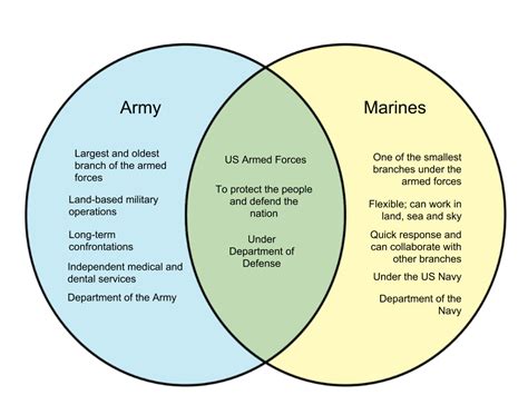 Compare And Contrast Military Branches