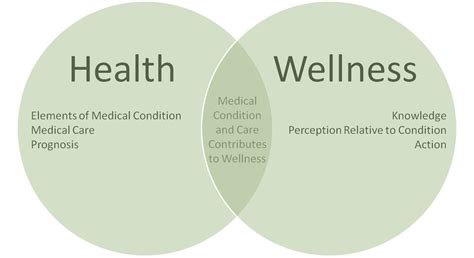 Connections Between Health And Wellness