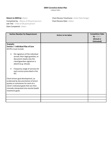 Corrective Action Plan Examples