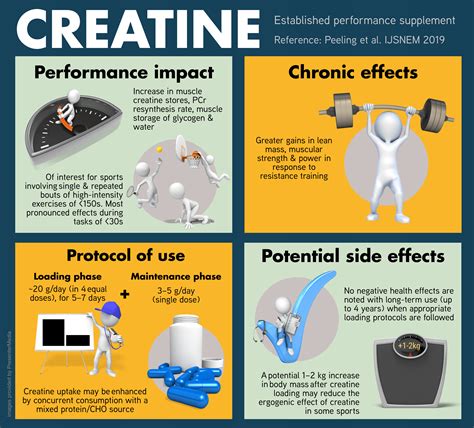 Creatine Benefits Uses Side Effects And More