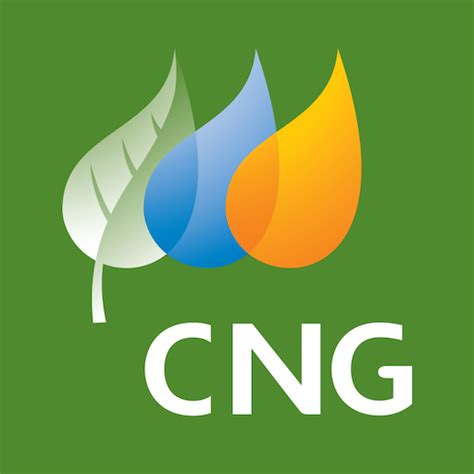 Ct Natural Gas