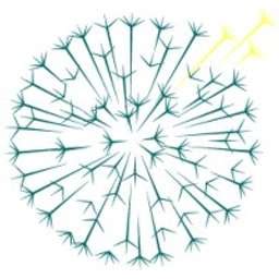 Dandelion Health Crunchbase