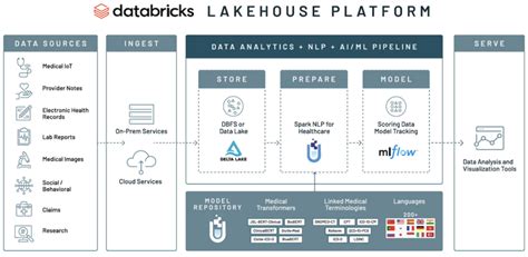 Databricks Healthcare