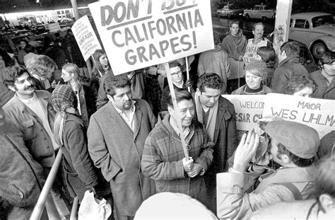 Delano Grape Strike Wikipedia