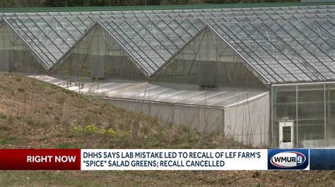 Dhhs Says Lab Mistake Led To Recall Of Salad Greens Recall Canceled