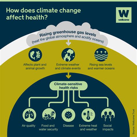 Diagram Showing The Impact Of Climate Change On Human Health