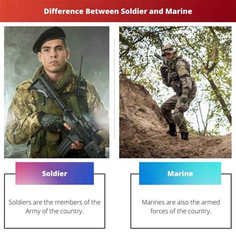 Difference Between Marine And Soldier