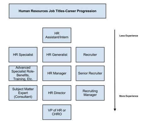 Different Branches Of Human Resources